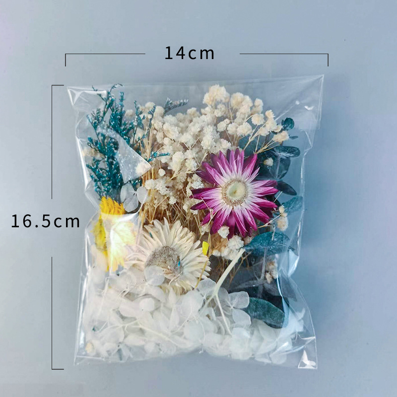 1pack Multifarious Dried Flowe - Craft Embellishments recension och pris